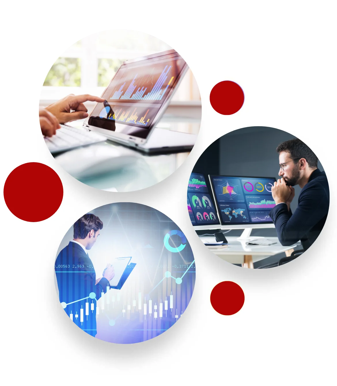 Professional Services DiLytics Professional Services DiLytics